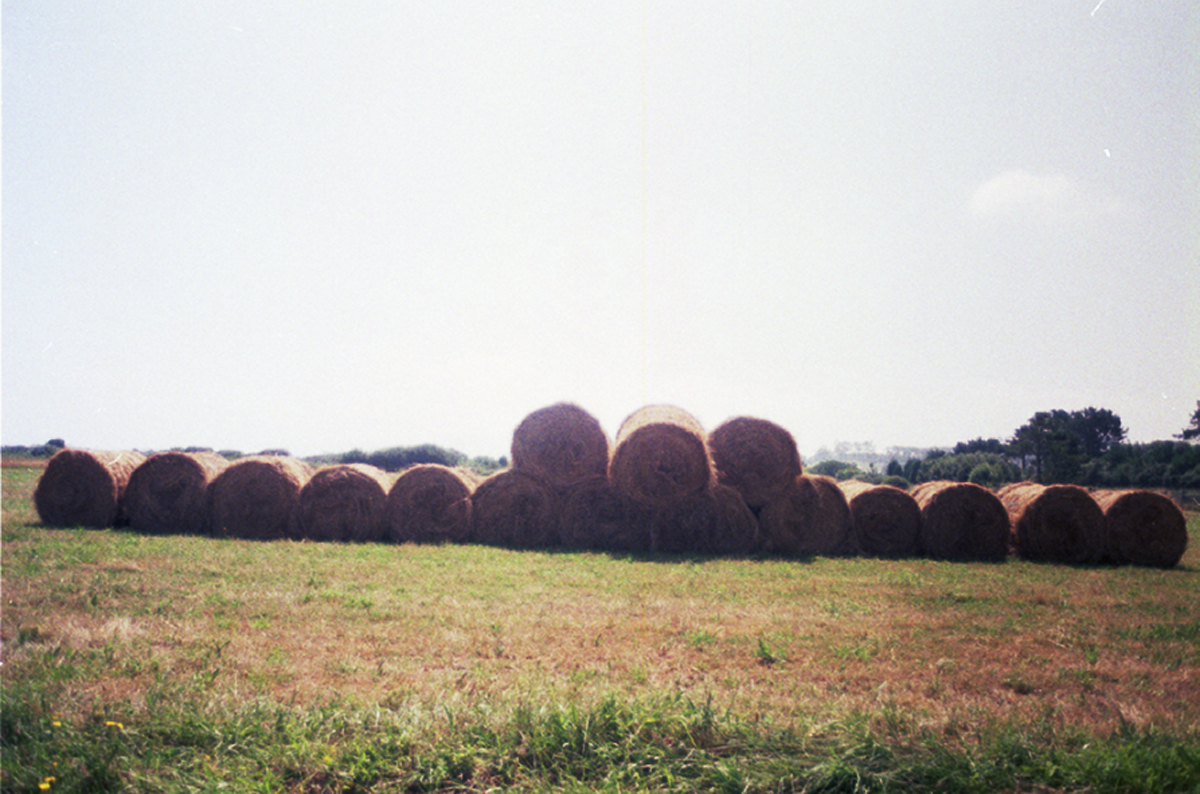 Spanish landscape