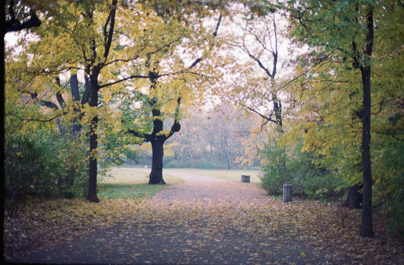 Autumn