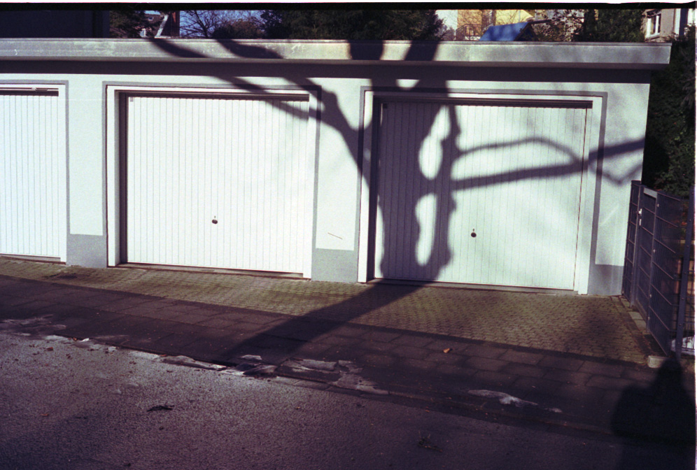 Tree's shadow over garage dor